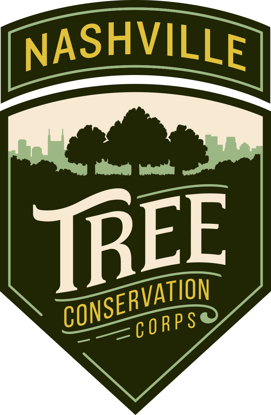 Our Work in Action — Nashville Tree Conservation Corps